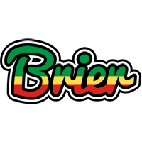 Brier african logo