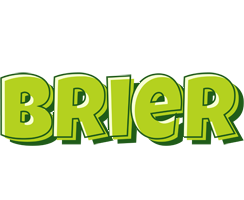 Brier summer logo