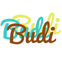 Budi cupcake logo