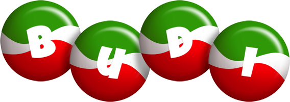 Budi italy logo