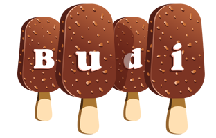 Budi pinup logo