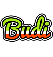 Budi superfun logo