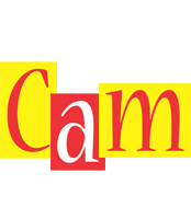 Cam errors logo