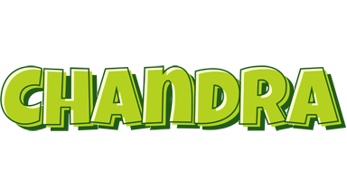 Chandra summer logo