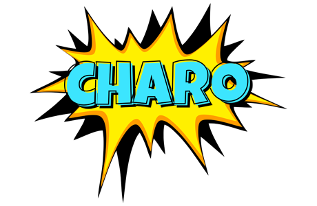 Charo indycar logo