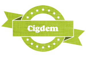 Cigdem change logo