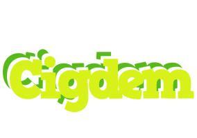 Cigdem citrus logo