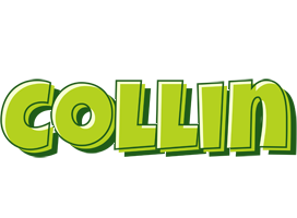 Collin summer logo