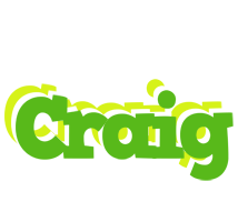 Craig picnic logo