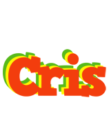 Cris bbq logo