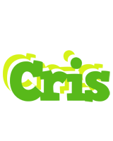 Cris picnic logo