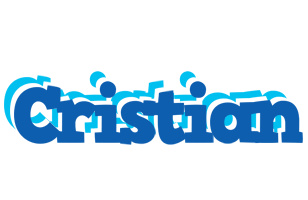 Cristian business logo
