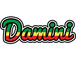 Damini african logo