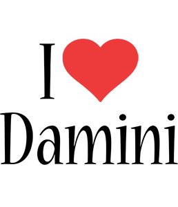 Damini i-love logo