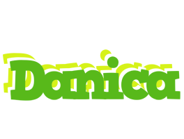 Danica picnic logo