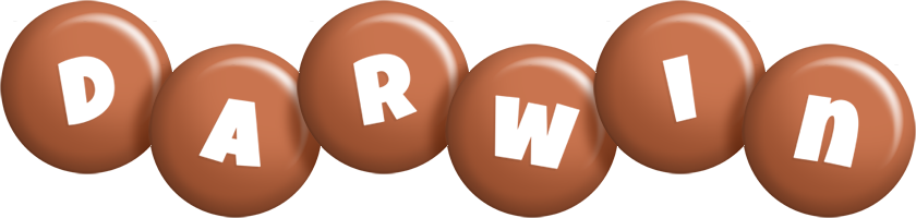 Darwin candy-brown logo