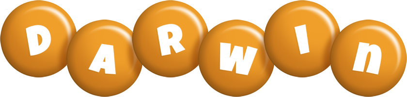 Darwin candy-orange logo