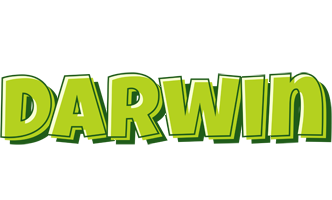 Darwin summer logo