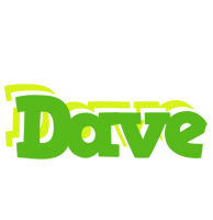 Dave picnic logo