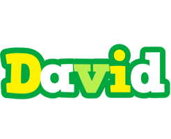 David soccer logo