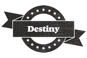 Destiny grunge logo