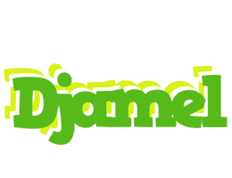 Djamel picnic logo