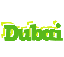 Dubai picnic logo