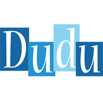 Dudu winter logo