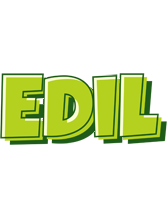 Edil summer logo