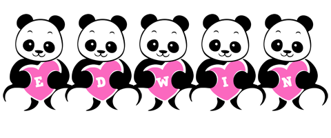 Edwin love-panda logo