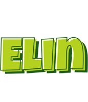 Elin summer logo