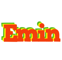 Emin bbq logo