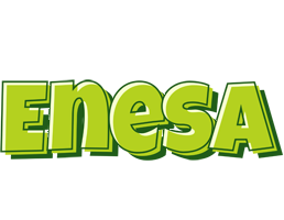 Enesa summer logo