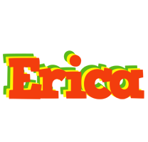 Erica bbq logo