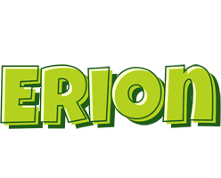 Erion summer logo