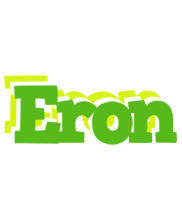 Eron picnic logo