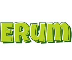 Erum summer logo