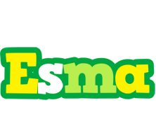 Esma soccer logo