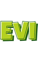 Evi summer logo