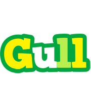Gull soccer logo