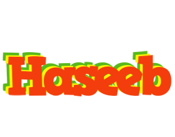 Haseeb bbq logo