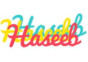 Haseeb disco logo