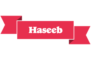 Haseeb sale logo