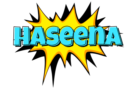 Haseena indycar logo