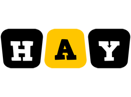 Hay boots logo