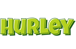 Hurley summer logo