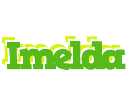 Imelda picnic logo