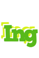 Ing picnic logo