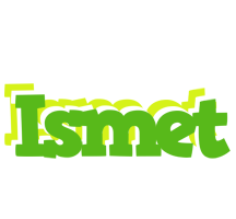 Ismet picnic logo