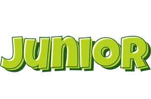 Junior summer logo